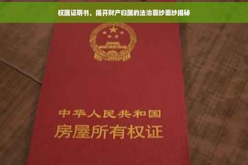 权属证明书，揭开财产归属的法治面纱面纱揭秘