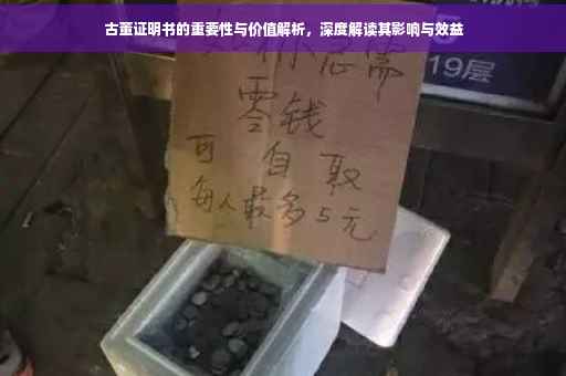 古董证明书的重要性与价值解析，深度解读其影响与效益