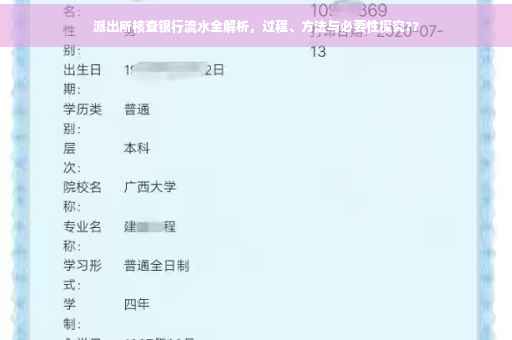 派出所核查银行流水全解析，过程、方法与必要性探究??