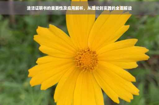 清洁证明书的重要性及应用解析，从理论到实践的全面解读
