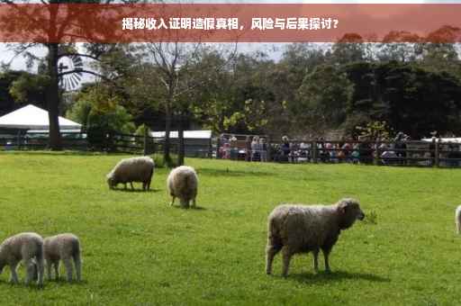 揭秘收入证明造假真相，风险与后果探讨?