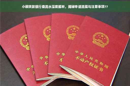 小额贷款银行查流水深度解析，揭秘申请流程与注意事项??