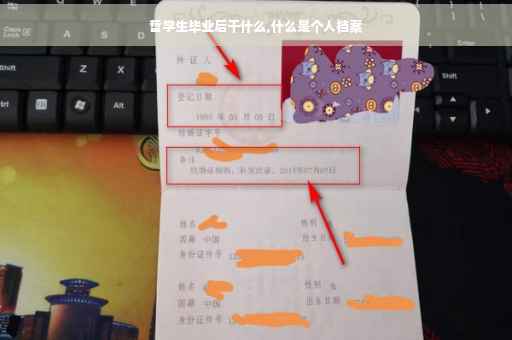 哲学生毕业后干什么,什么是个人档案
