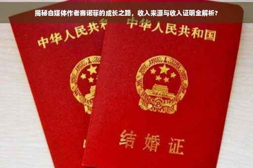 揭秘自媒体作者赛诺菲的成长之路，收入来源与收入证明全解析?