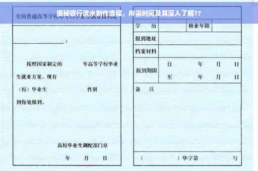 揭秘银行流水制作流程，所需时间及其深入了解??