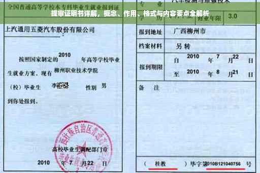 提审证明书详解，概念、作用、格式与内容要点全解析