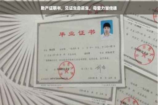 助产证明书，见证生命诞生，母爱力量传递
