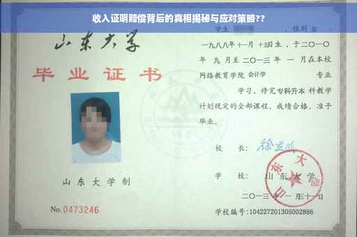收入证明赔偿背后的真相揭秘与应对策略??