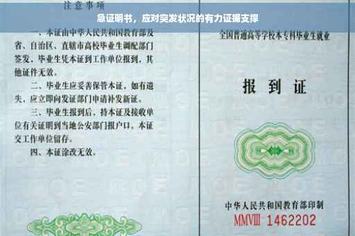 急证明书，应对突发状况的有力证据支撑