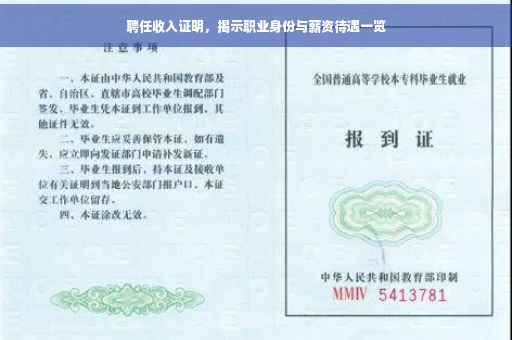 聘任收入证明，揭示职业身份与薪资待遇一览