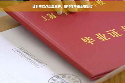 证明书特点深度解析，独特性与重要性探讨