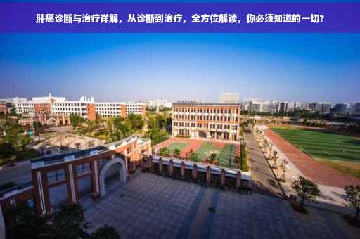 肝癌诊断与治疗详解，从诊断到治疗，全方位解读，你必须知道的一切?