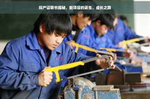 投产证明书揭秘，新项目的诞生、成长之路