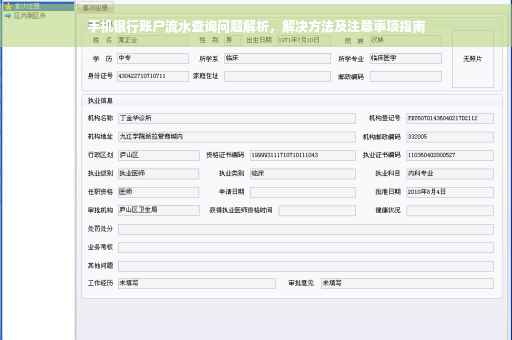 手机银行账户流水查询问题解析，解决方法及注意事项指南