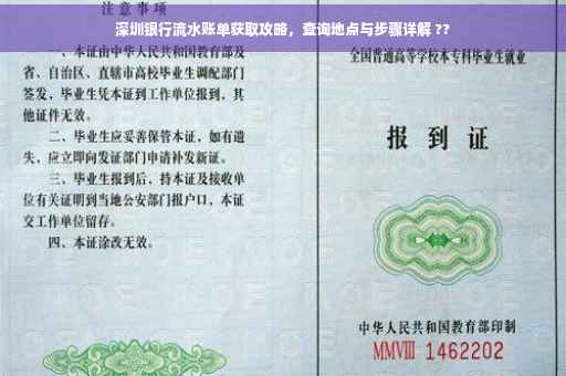 深圳银行流水账单获取攻略，查询地点与步骤详解 ??