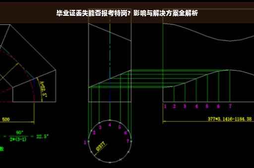 毕业证丢失能否报考特岗？影响与解决方案全解析