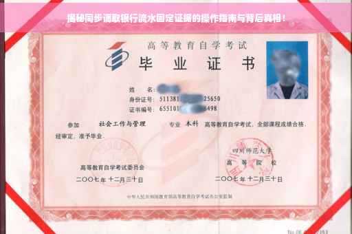 揭秘同步调取银行流水固定证据的操作指南与背后真相！