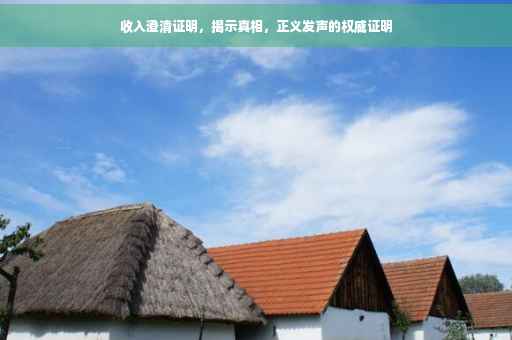 收入澄清证明，揭示真相，正义发声的权威证明