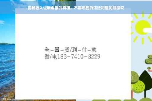 揭秘收入证明虚报的真相，不容忽视的违法犯罪问题探究