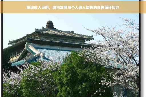 肥城收入证明，城市发展与个人收入增长的良性循环探究