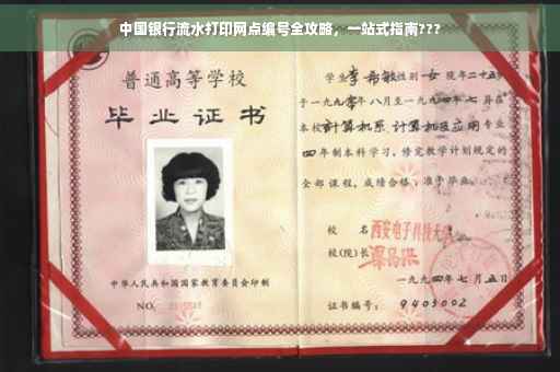 中国银行流水打印网点编号全攻略，一站式指南???