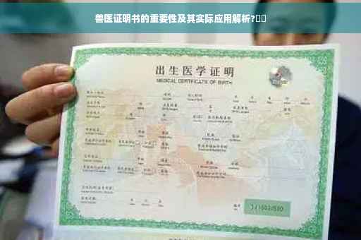 兽医证明书的重要性及其实际应用解析?⚡️