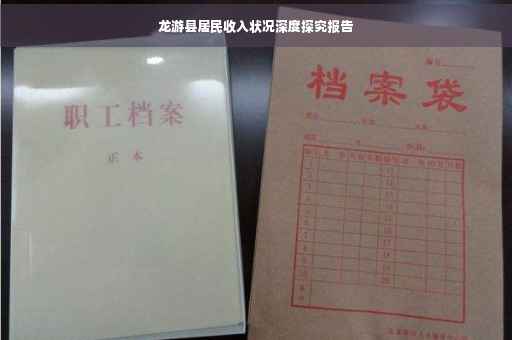 龙游县居民收入状况深度探究报告