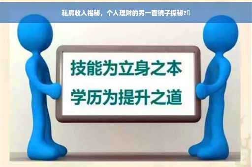 私房收入揭秘，个人理财的另一面镜子探秘?✨