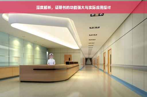 深度解析，证明书的功能强大与实际应用探讨
