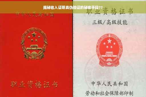 揭秘收入证明真伪验证的秘密手段??