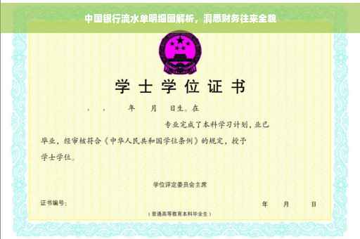 中国银行流水单明细图解析，洞悉财务往来全貌