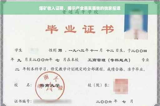 煤矿收入证明，揭示产业真实面貌的独家报道