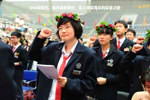 DW证明书，揭开真相面纱，深入事实背后的探索之旅