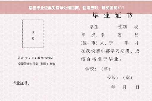 军校毕业证丢失应急处理指南，快速应对，避免困扰?⚡️