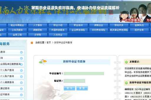 暑期毕业证遗失应对指南，快速补办毕业证流程解析