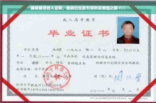 揭秘期权收入证明，金融衍生品引领财富增值之路 ?⚡️