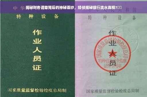 揭秘财务调查背后的神秘面纱，经侦揭秘银行流水真相?⚡️