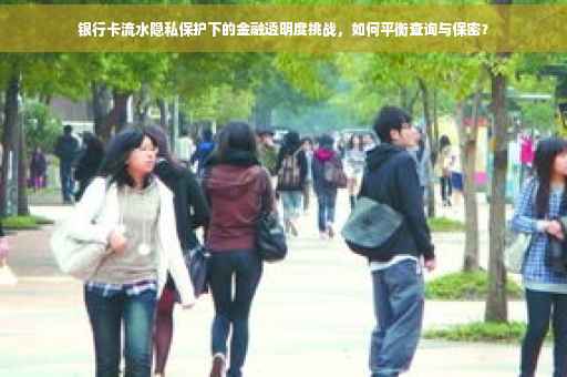 银行卡流水隐私保护下的金融透明度挑战，如何平衡查询与保密？
