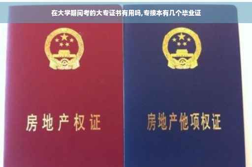 在大学期间考的大专证书有用吗,专接本有几个毕业证