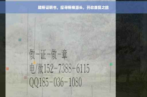 腿疼证明书，探寻疼痛源头，开启康复之旅