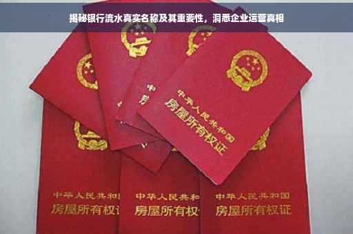 揭秘银行流水真实名称及其重要性，洞悉企业运营真相