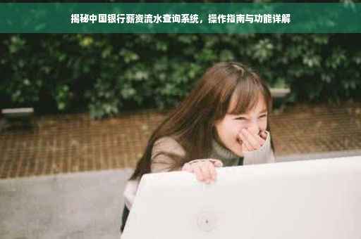 揭秘中国银行薪资流水查询系统，操作指南与功能详解
