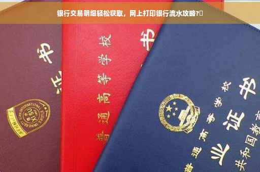 银行交易明细轻松获取，网上打印银行流水攻略?✨