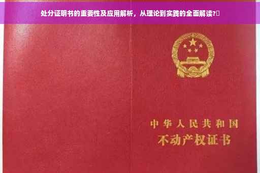 处分证明书的重要性及应用解析，从理论到实践的全面解读?✨