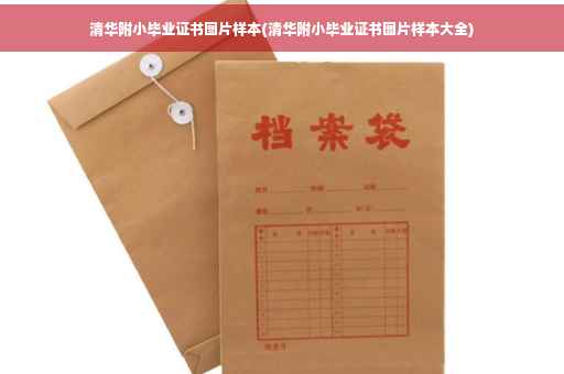 清华附小毕业证书图片样本(清华附小毕业证书图片样本大全)