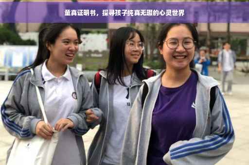 童真证明书，探寻孩子纯真无瑕的心灵世界