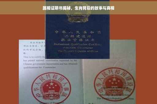 属相证明书揭秘，生肖背后的故事与真相