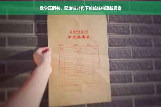 数字证明书，区块链时代下的信任构建新篇章
