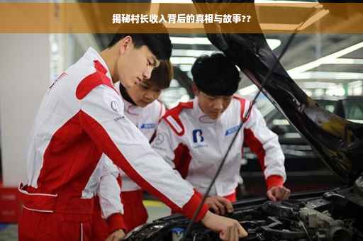 揭秘村长收入背后的真相与故事??
