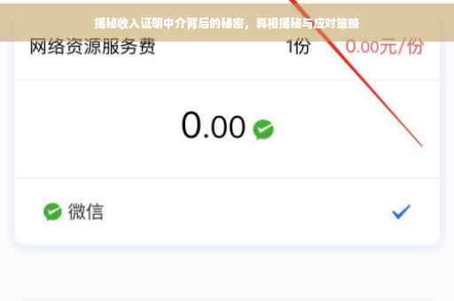 揭秘收入证明中介背后的秘密，真相揭秘与应对策略